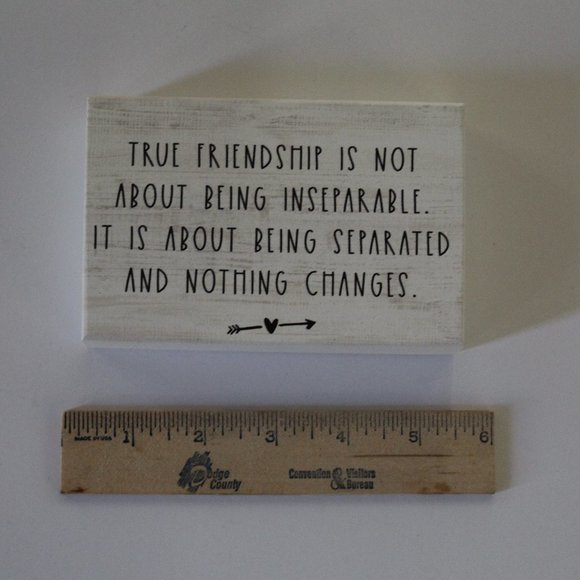 Sincere Surroundings “True Friendship” Wooden Block Sign - Picture 9 of 10